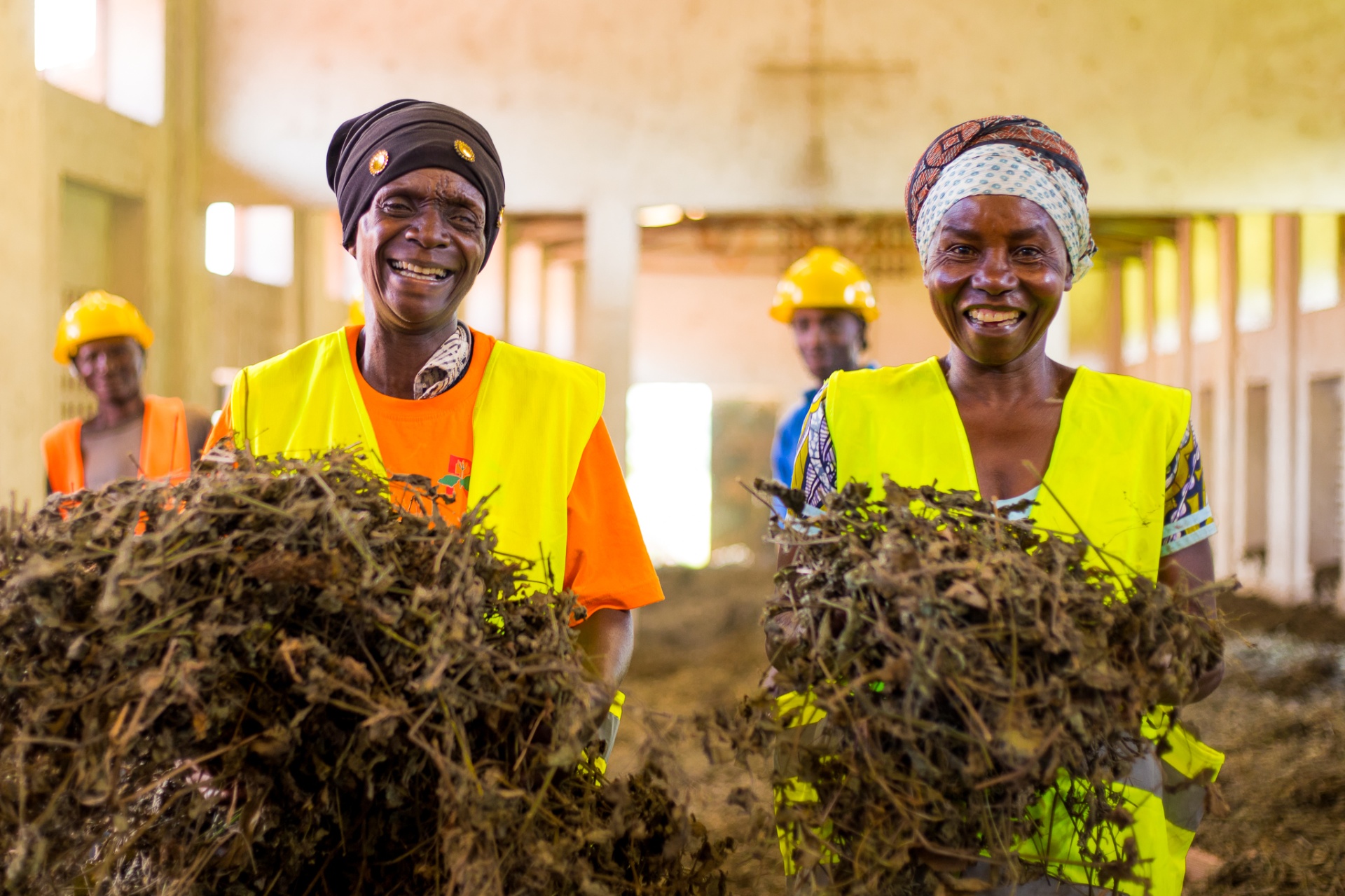 Two women farmers smiling while carrying bundles of dried patchouli at the Rugofarm facility