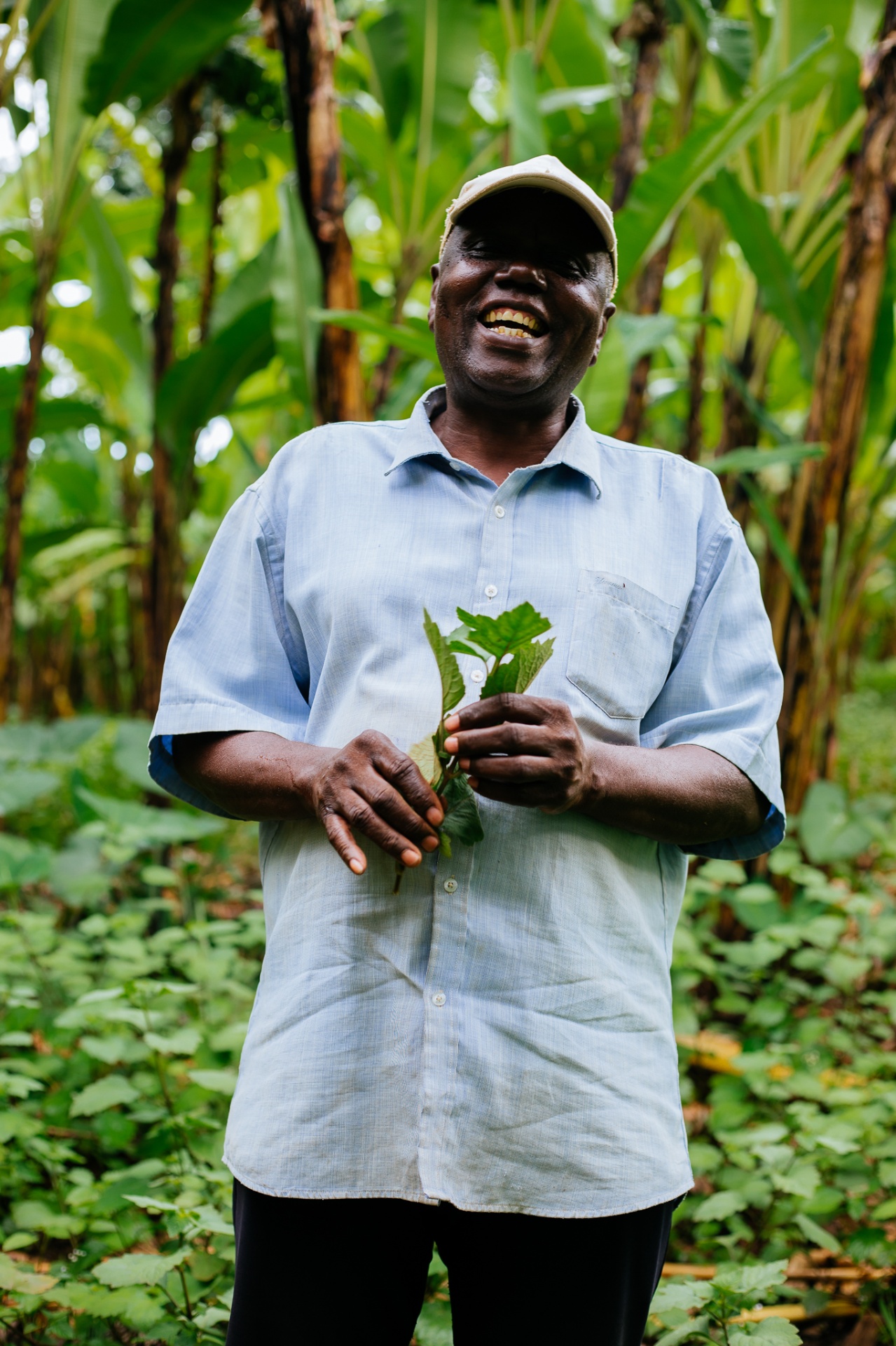 Magnus, patchouli producer in Rubirizi, standing in his banana grove